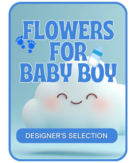 Designer's Selection Baby Boy