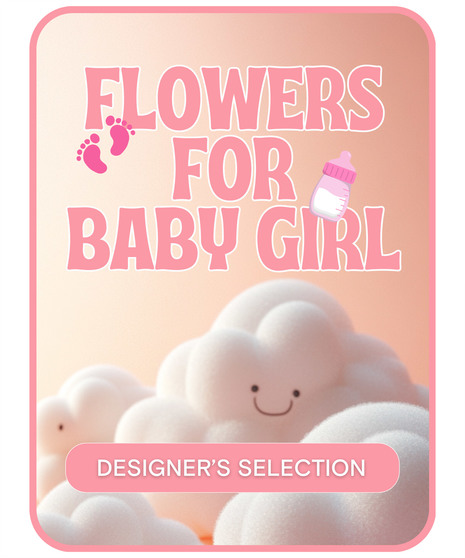 Designer's Selection Baby Girl