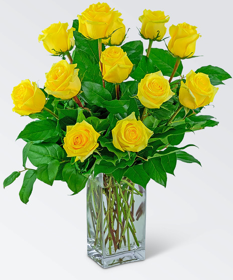 Dozen yellow roses in a vase