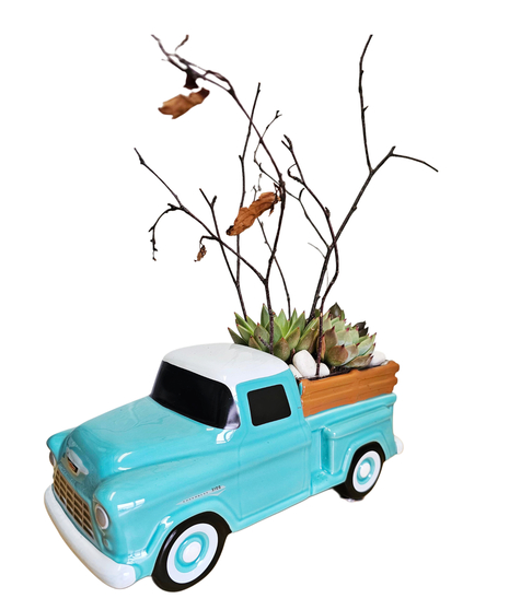 Route '57 Succulent Planter